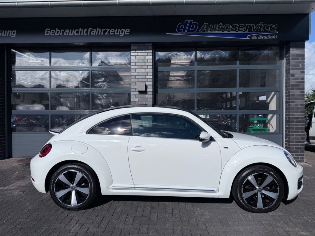 Volkswagen Beetle Allstar